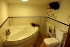 Bedroom 1 en suite