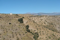 Local view