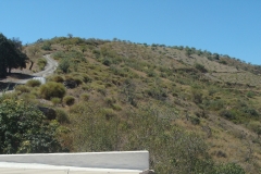 Looking uphill from cortijo