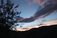DSCF8780