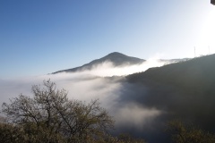 Misty Cerrajon