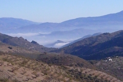 Mist in the valleys